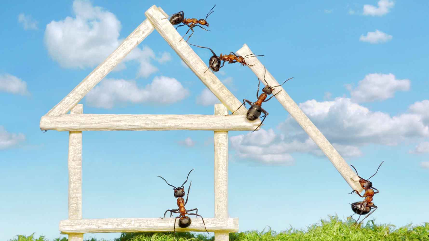 Is a building & pest inspection tax deductible? - featured image