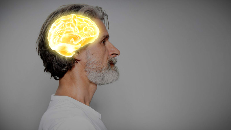 Brain2