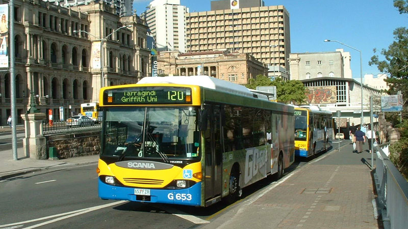 Bus