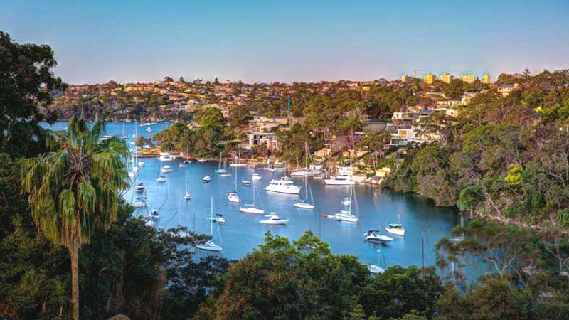 Cammeray