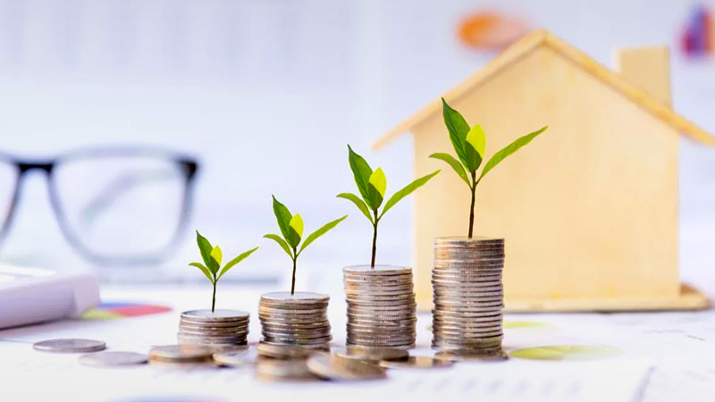 Capital Growth