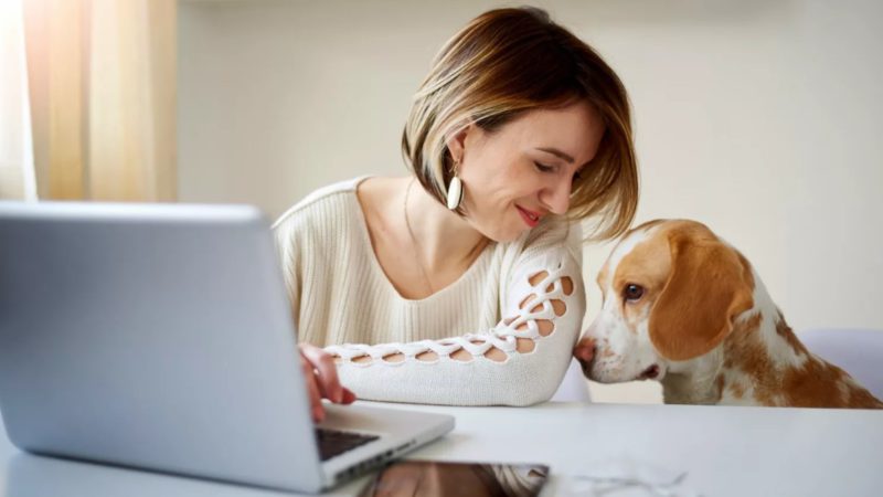 Dogs Loves