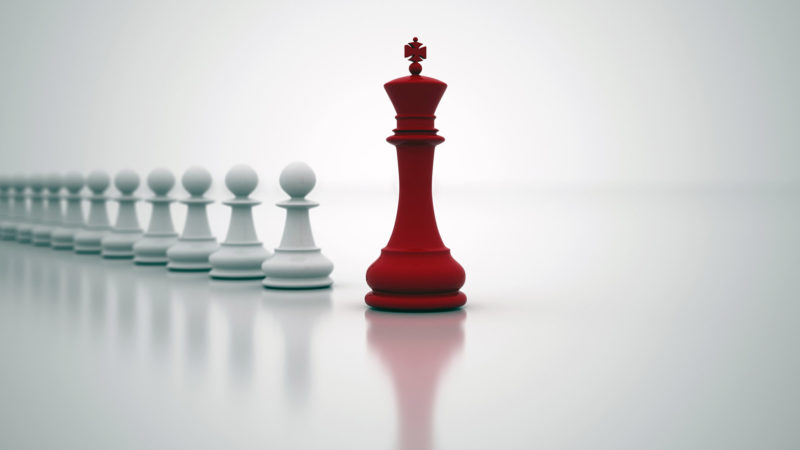 expert leader