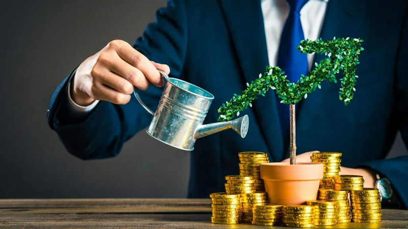 Growing Wealth