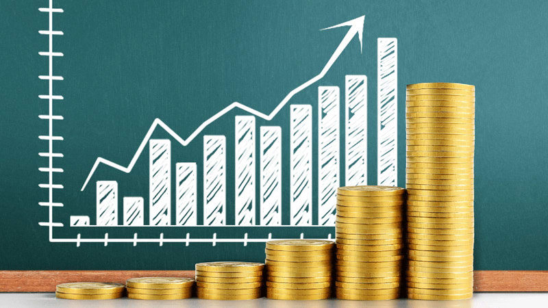 Income