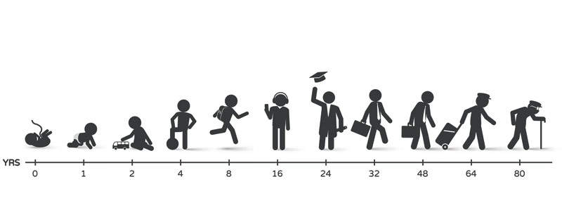 Life Cycle