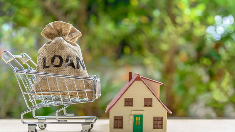 Loan