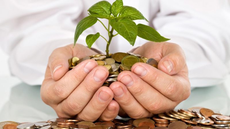 Money Tree