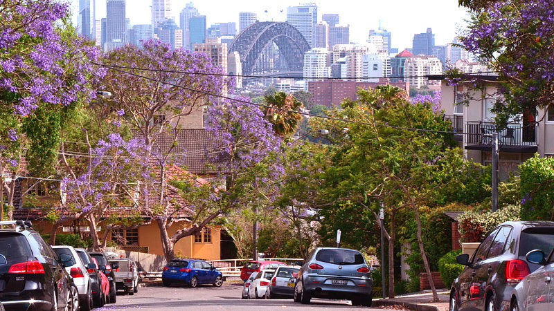 Neutral Bay