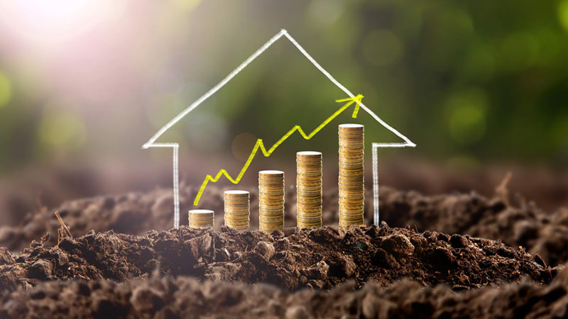 Price Growth