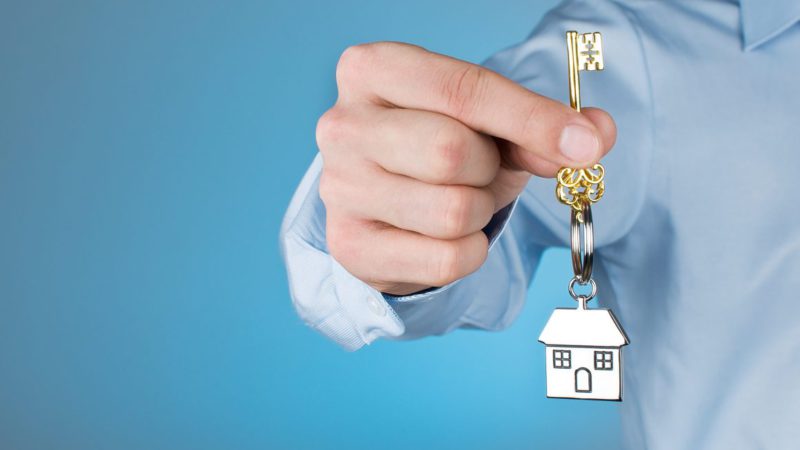 Property Rent New