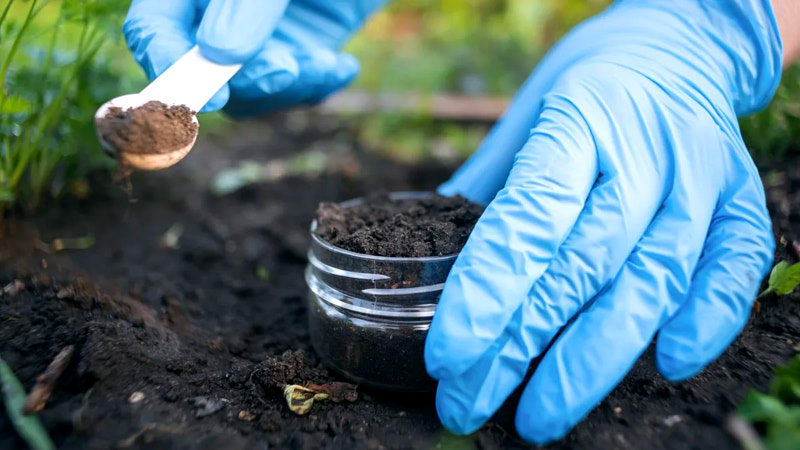 Soil Testing