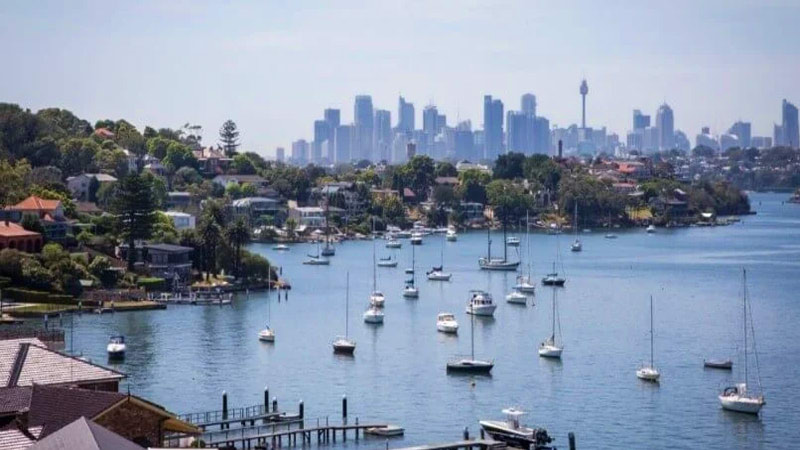 Sydney Suburbia 2