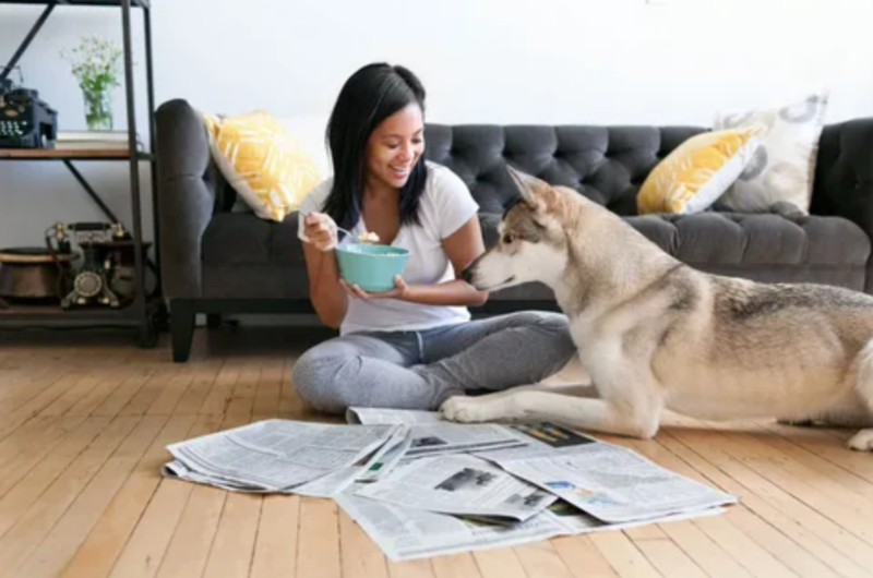Tenant Pets